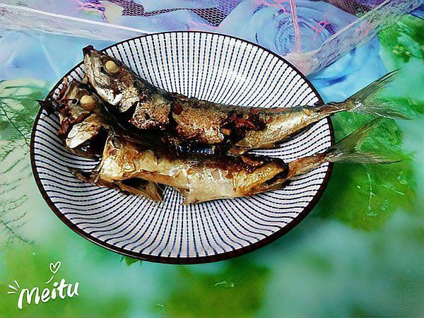 巴龍魚是什么魚