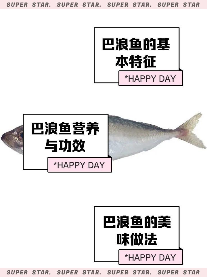 巴龍魚是什么魚