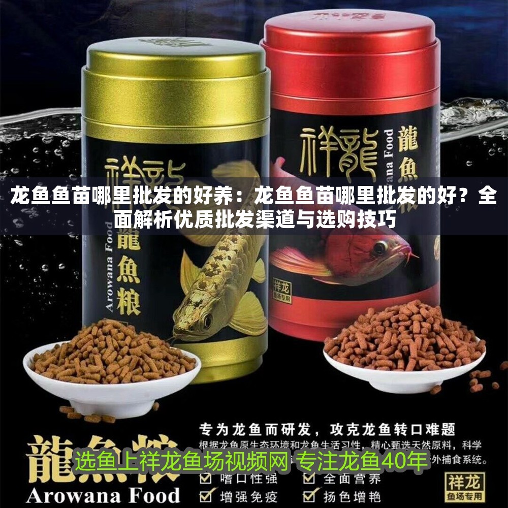 龍魚魚苗哪里批發(fā)的好養(yǎng)：龍魚魚苗哪里批發(fā)的好？全面解析優(yōu)質(zhì)批發(fā)渠道與選購技巧