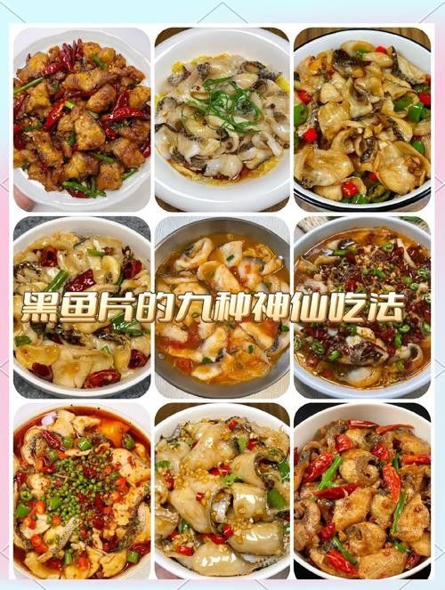40厘米金龍魚飼養難度大嗎視頻：40厘米金龍魚飼養難度大嗎？