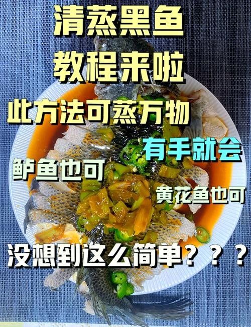 40厘米金龍魚飼養難度大嗎視頻：40厘米金龍魚飼養難度大嗎？