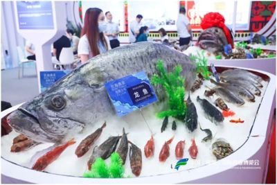 濟南龍魚展會（關于“濟南龍魚展會”的問題）