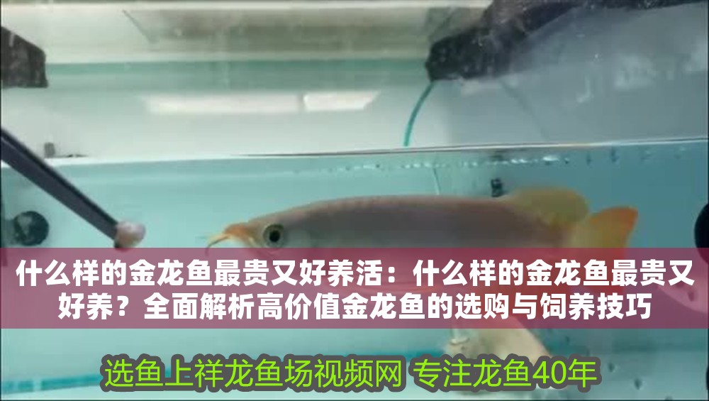 馬印加熱棒和光特億哪個好