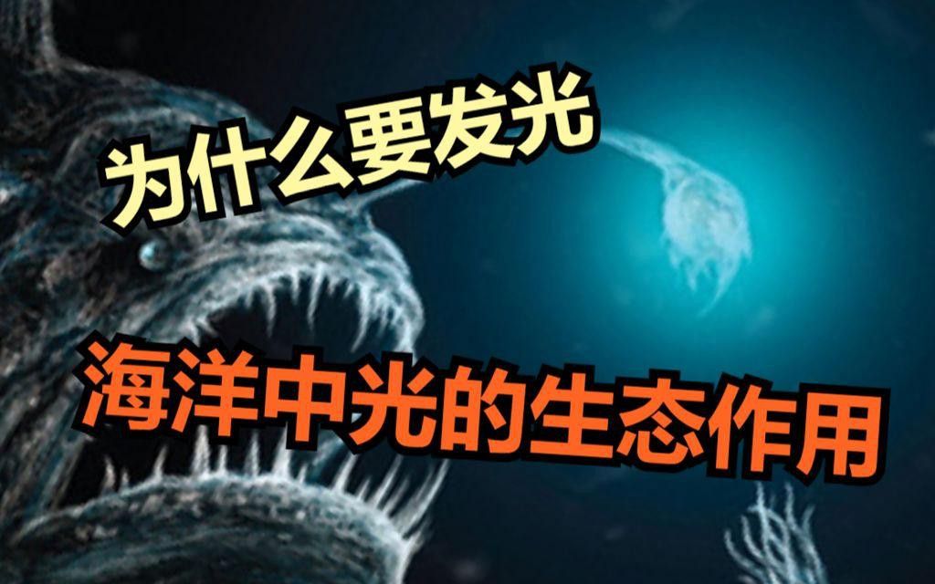 深海龍魚有哪些特殊防御機(jī)制？ 深海龍魚有哪些特殊防御機(jī)制？ 龍魚百科 第1張