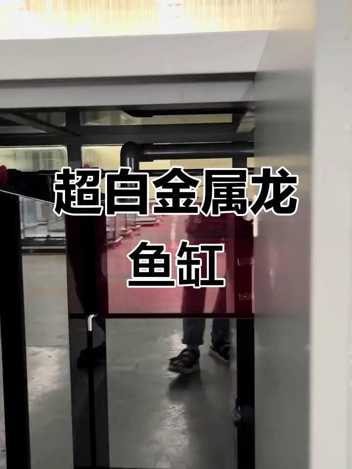 龍魚之巔推薦的魚缸