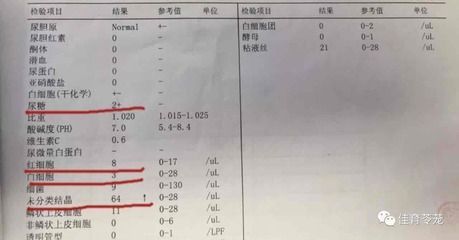 龍魚硝酸鹽安全值（龍魚硝酸鹽安全值控制）