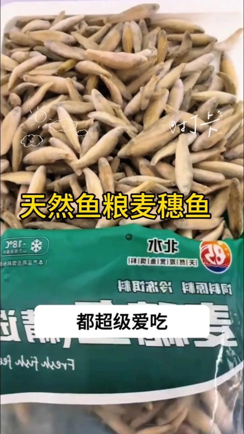 龍魚可以吃海水魚嗎圖片