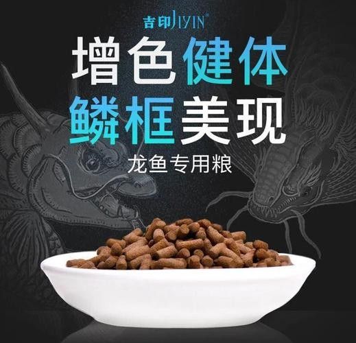 龍魚可以吃海水魚嗎圖片