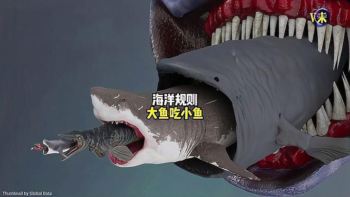 哪種捕食方式更有效？ 哪種捕食方式更有效？ 龍魚百科 第2張