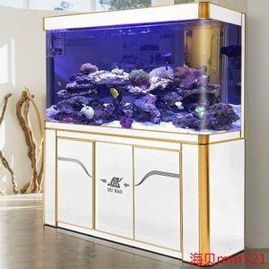 金龍魚a過背和b過背有什么區別圖片