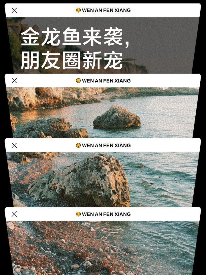 海鰱和龍魚混養可以嗎圖片