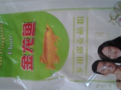 金龍魚便宜了：揭秘金龍魚繁殖全過程