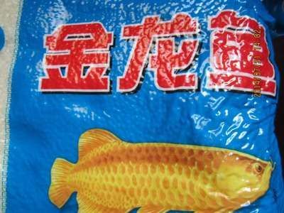 金龍魚便宜了：揭秘金龍魚繁殖全過程