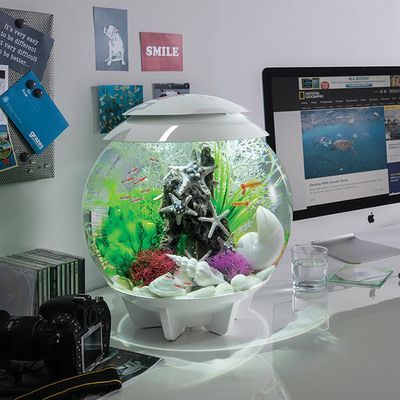 家用魚缸布置圖，魚缸風水擺設技巧