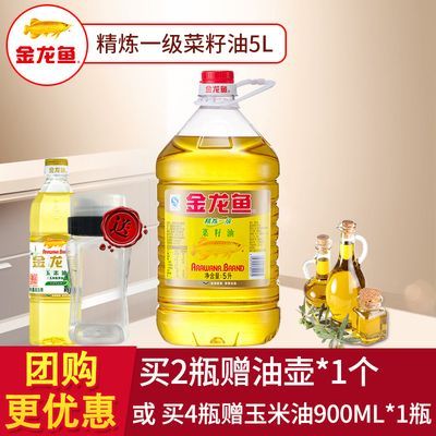 金龍魚A級好還是B級好：金龍魚a級和b級有什么區別？