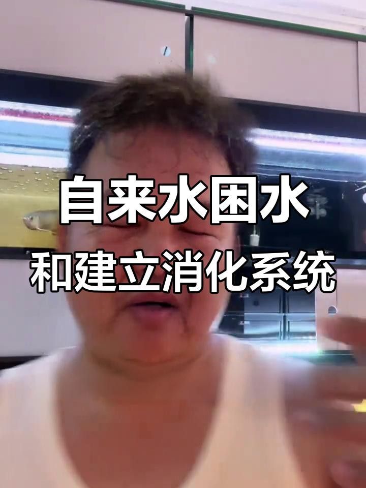 龍魚換缸后多久可以恢復正常喂食？