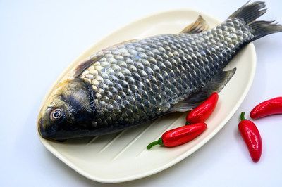 龍魚咋做好吃：龍魚怎么做好吃？