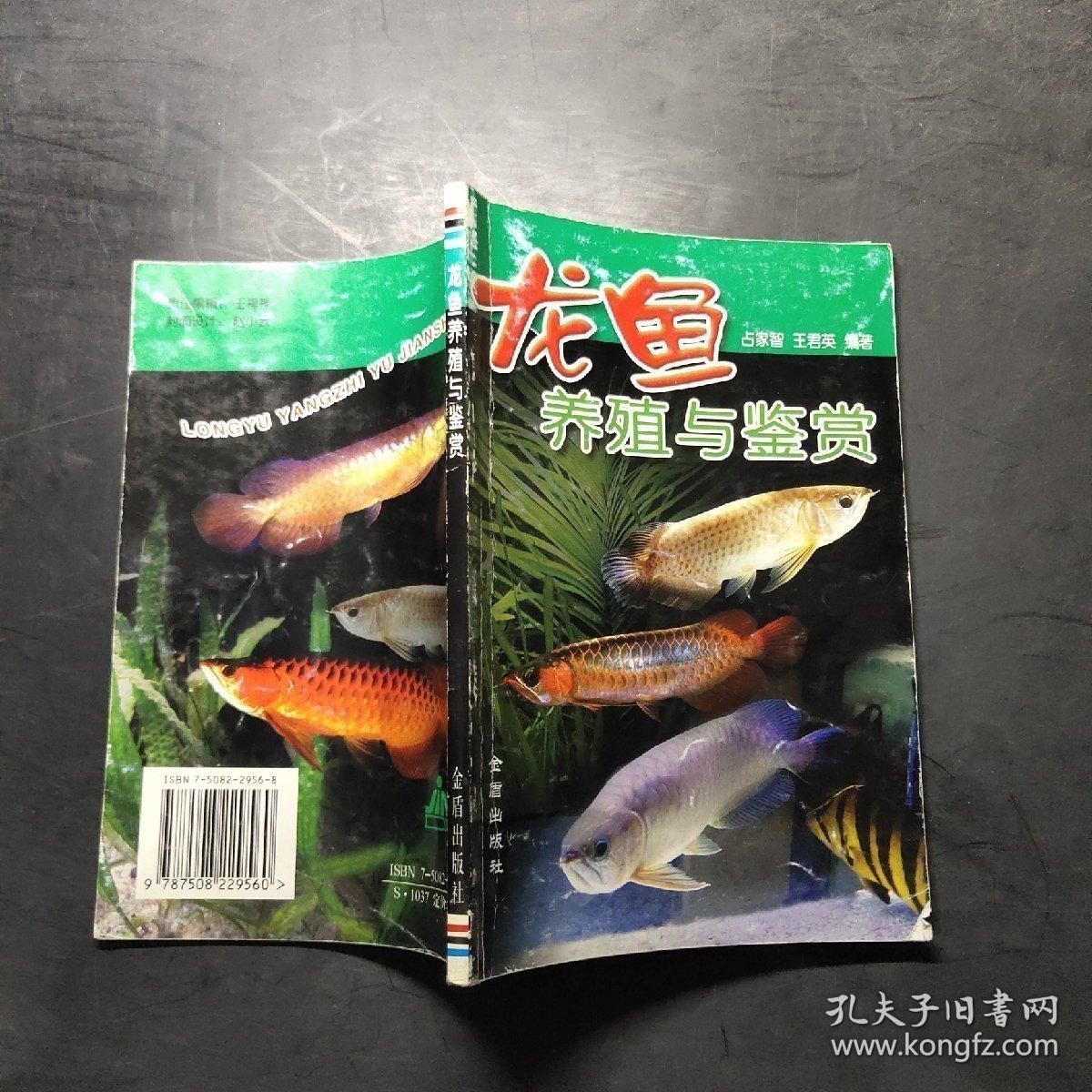 龍魚的養(yǎng)殖與鑒賞:龍魚養(yǎng)殖與鑒賞 龍魚百科 第2張 龍魚的養(yǎng)殖與鑒賞:龍魚養(yǎng)殖與鑒賞 龍魚的養(yǎng)殖與鑒賞:龍魚養(yǎng)殖與鑒賞 龍魚百科 第2張