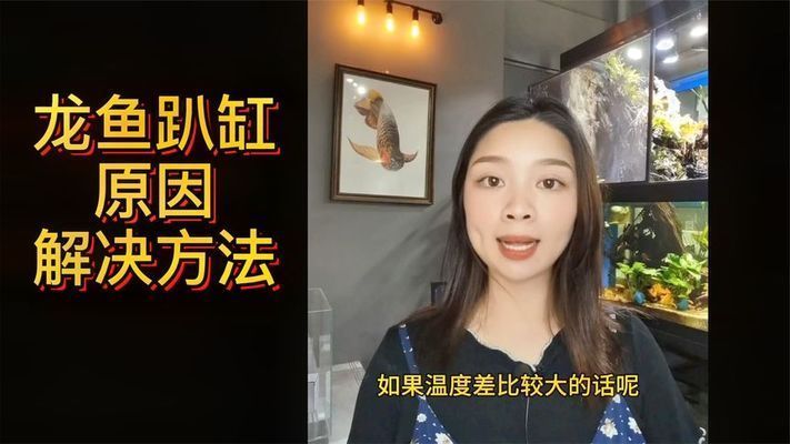 龍魚趴缸游動扭曲身子：龍魚趴缸游動扭曲身子可能由多種因素引起