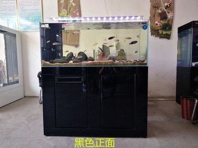 鑫德龍魚缸：保定鑫德龍魚缸的優勢 鑫德龍魚缸：保定鑫德龍魚缸的優勢 龍魚百科 第3張