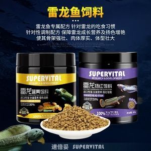 雷龍魚飼料營養價值對比：雷龍魚飼料品牌口碑排行