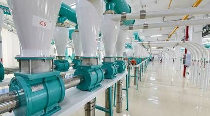 金龍魚發電：金龍魚發電業務
