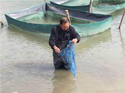 黃龍魚在混養時需要注意以下幾個方面，適合與什么魚混養：黃龍魚可以和什么魚混養 黃龍魚在混養時需要注意以下幾個方面，適合與什么魚混養：黃龍魚可以和什么魚混養 龍魚百科 第3張