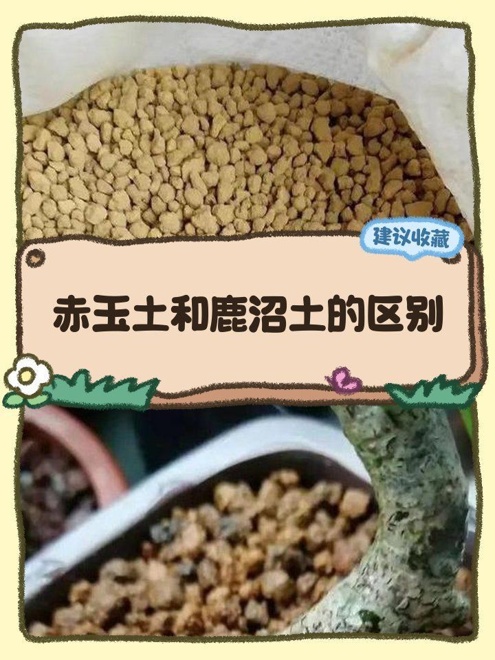 鹿沼土和赤玉土有啥區(qū)別