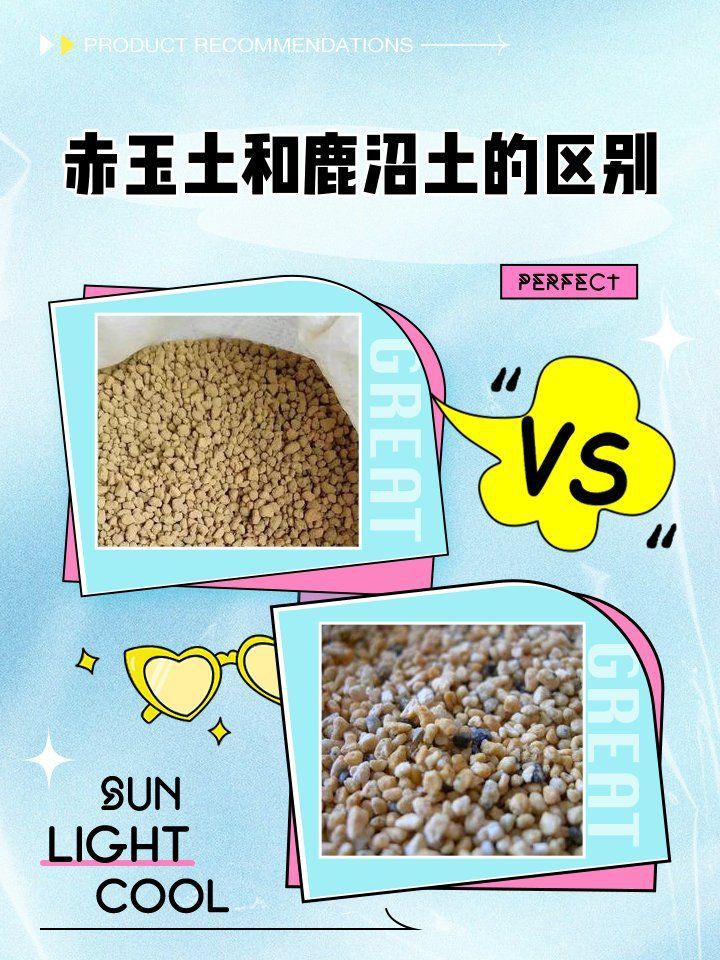 鹿沼土和赤玉土有啥區(qū)別