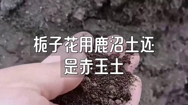 鹿沼土和赤玉土有啥區(qū)別