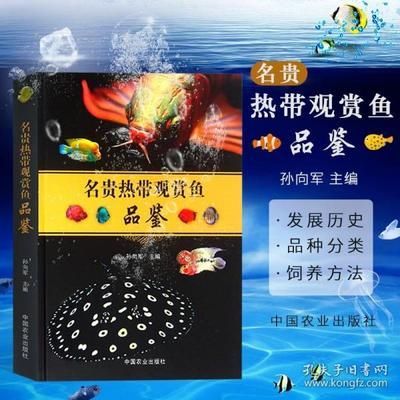 七彩神仙 龍魚怎么養殖方法：七彩神仙魚怎么養殖七彩神仙龍魚怎么養殖方法