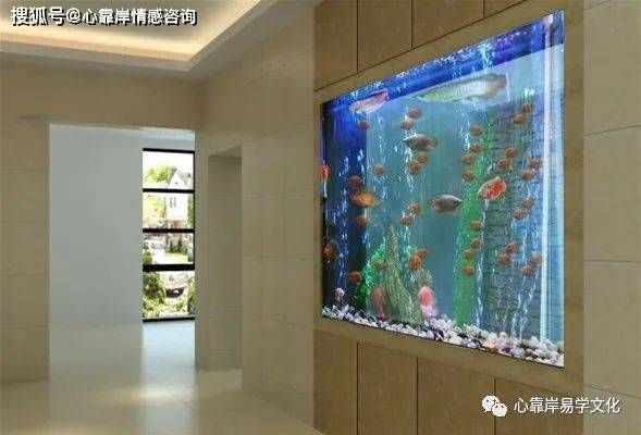 魚缸放入戶門對面好嗎（如何選擇合適大小的魚缸）