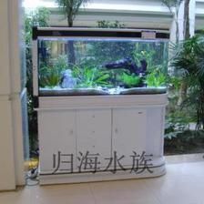 魚缸放入戶門對面好嗎（如何選擇合適大小的魚缸）