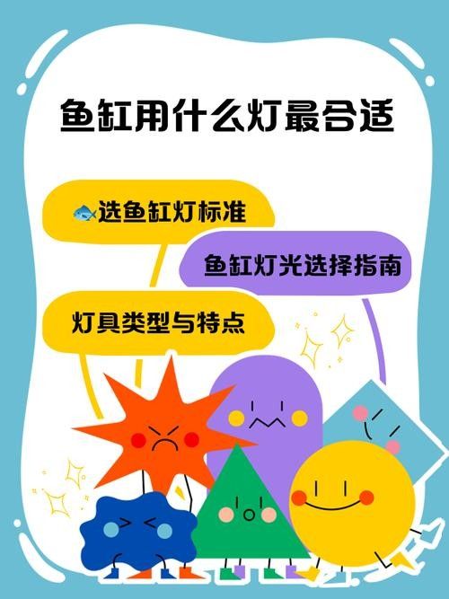 龍魚缸燈光怎么放比較好圖片