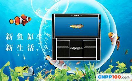 閩江魚缸廠家售后電話