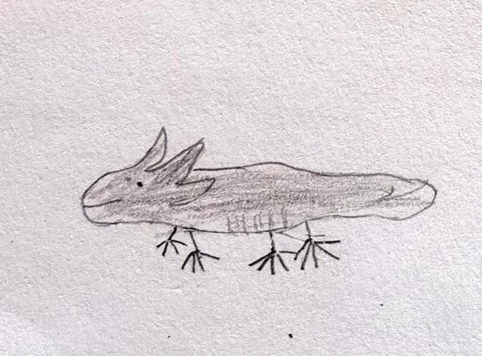 恐龍魚的圖片簡筆畫可愛