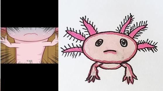 恐龍魚的圖片簡筆畫可愛