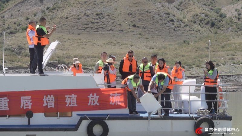 昌吉回族自治州龍魚養殖基地在哪里啊多少錢