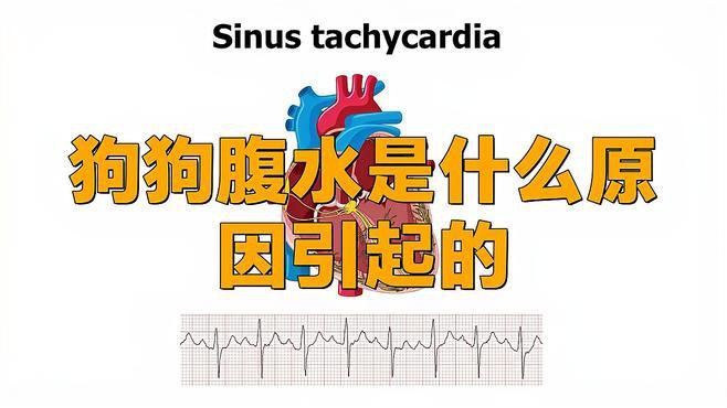 雷龍腹水有哪些常見原因？