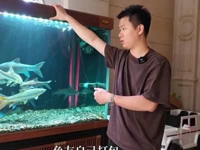 龍魚吃魚苗嗎：龍魚怎么打包裝
