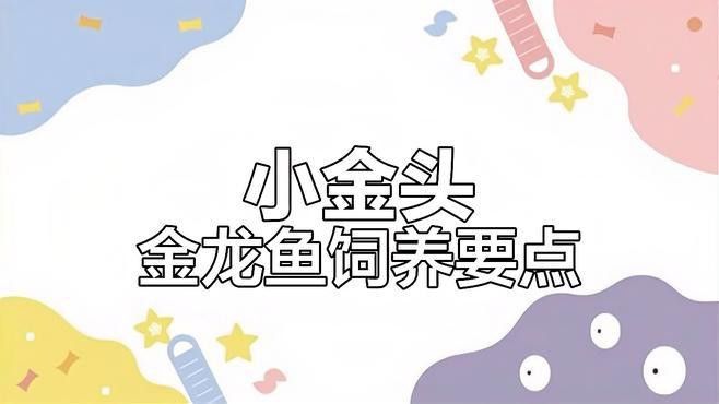 金頭金龍和過背金龍哪個更值錢？