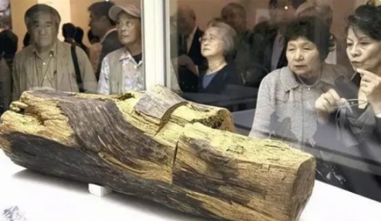 龍魚炒作騙局曝光:如何辨別龍魚市場真偽 龍魚百科 第3張 龍魚炒作騙局曝光:如何辨別龍魚市場真偽 龍魚炒作騙局曝光:如何辨別龍魚市場真偽 龍魚百科 第3張