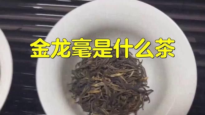 金龍系列茶葉有哪些知名品種？