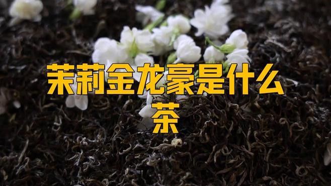 金龍系列茶葉有哪些知名品種？