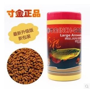 養龍魚時選擇合適的食物是非常重要的：養龍魚喂什么長的快