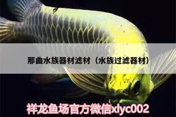 <strong><mark>那曲</mark></strong>水族器材濾材（水族過濾器材）