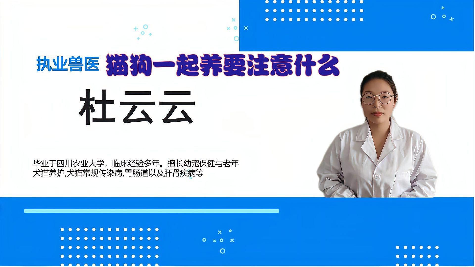 給我推薦一些適合與貓混養的寵物