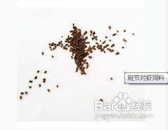 如何判斷龍魚飼料質量優劣:如何判斷龍魚飼料的質量優劣