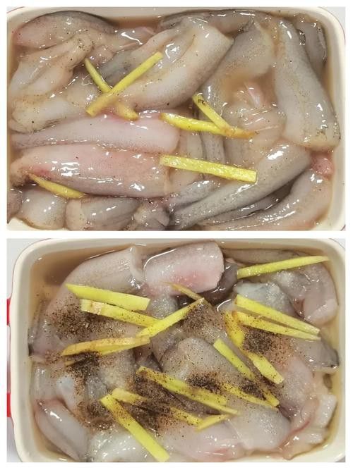 東海小龍魚圖片高清