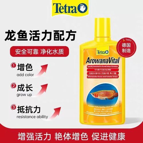 如何挑選適合紅龍魚的飼料